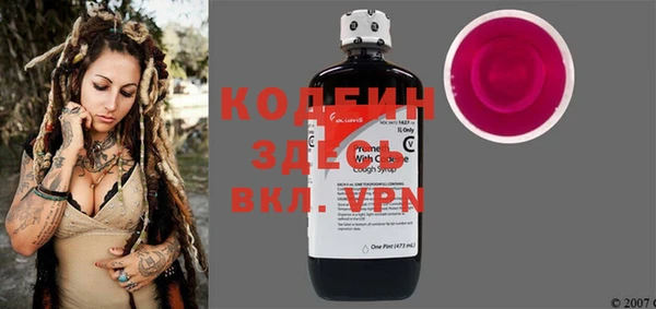 хмурый Кодинск