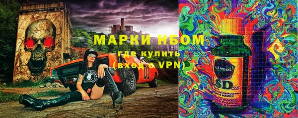 хмурый Кодинск