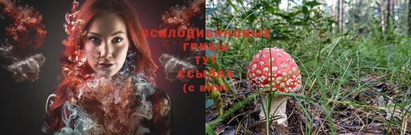 хмурый Кодинск