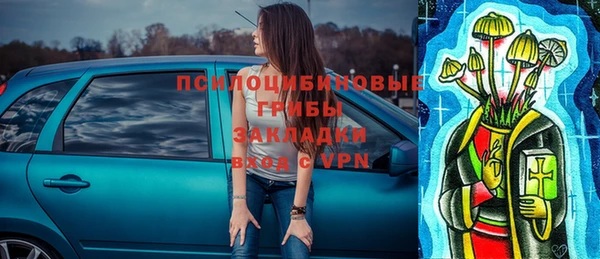 хмурый Кодинск